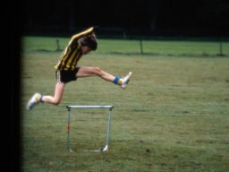 0DIA 1985 RAVAKAMP